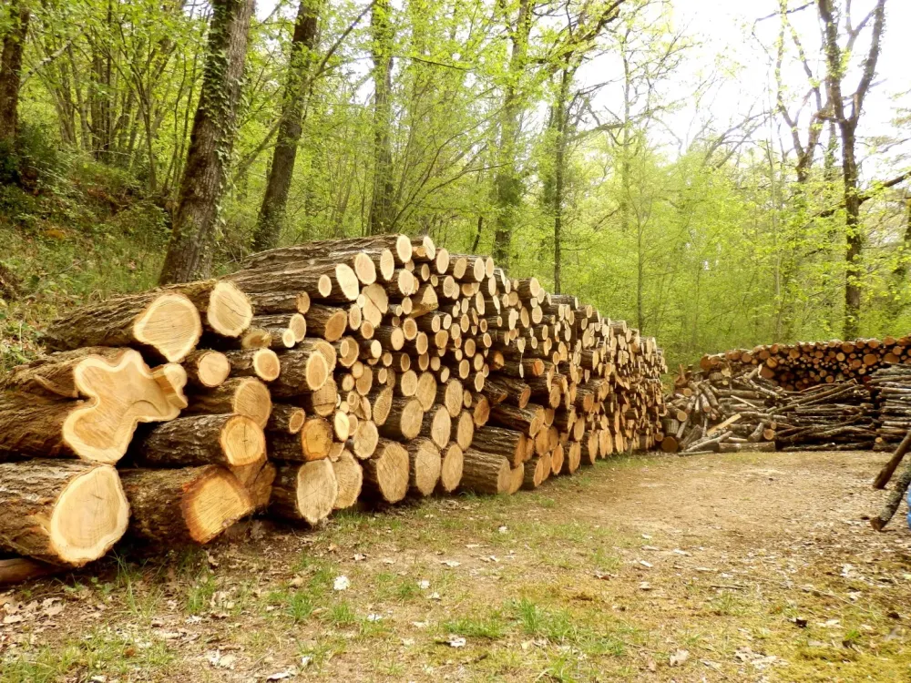 Bois énergie à Prémery